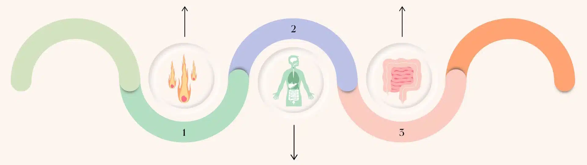 Inflammation Pro's 3-phase approach