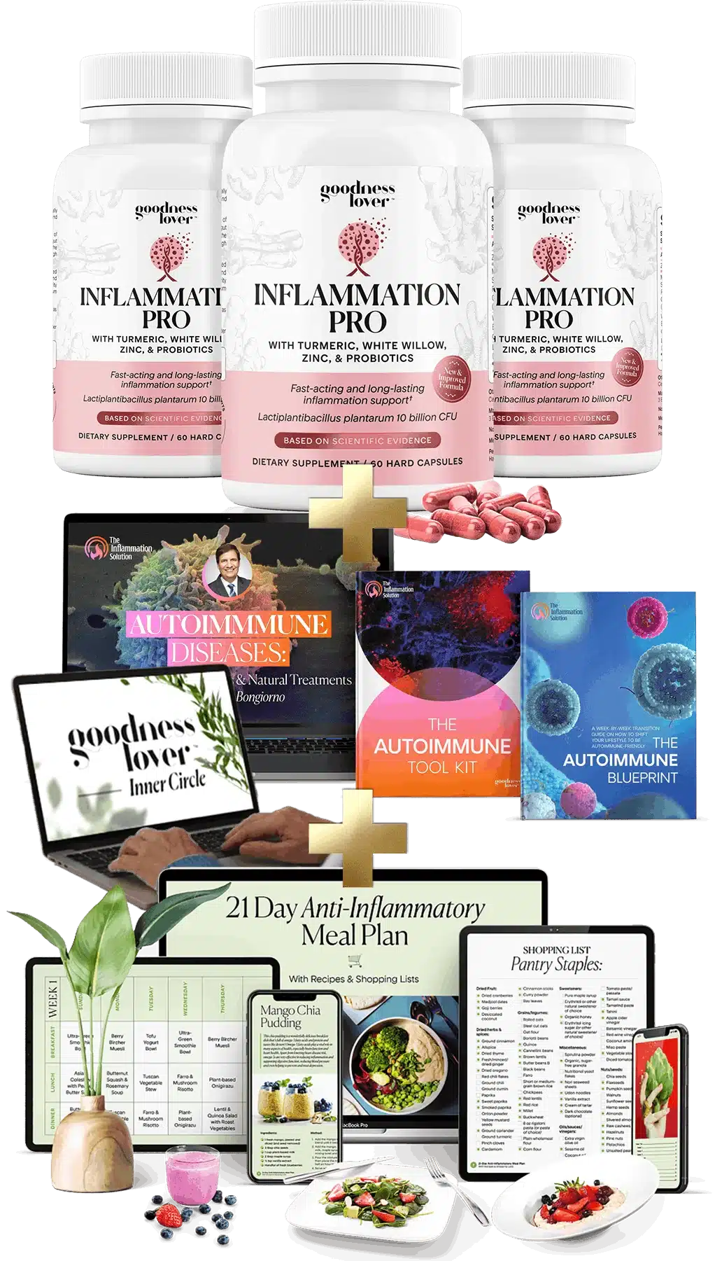 3 Bottles of Inflammation Pro plus bonuses