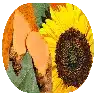 Meriva Curcumin